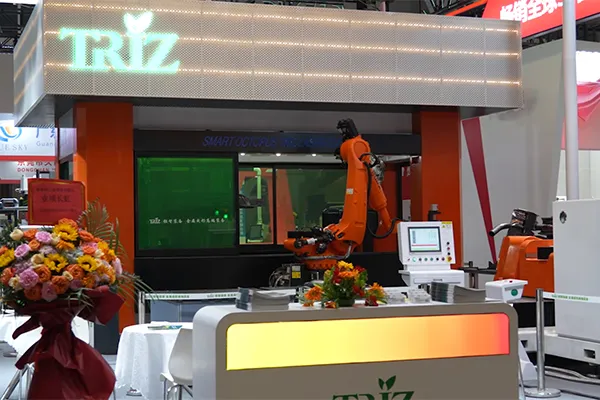 16-Axis Double-Station 3D Laser Cutting Machine